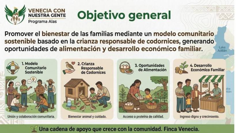 Lámina informativa del Programa Alas: objetivos del programa