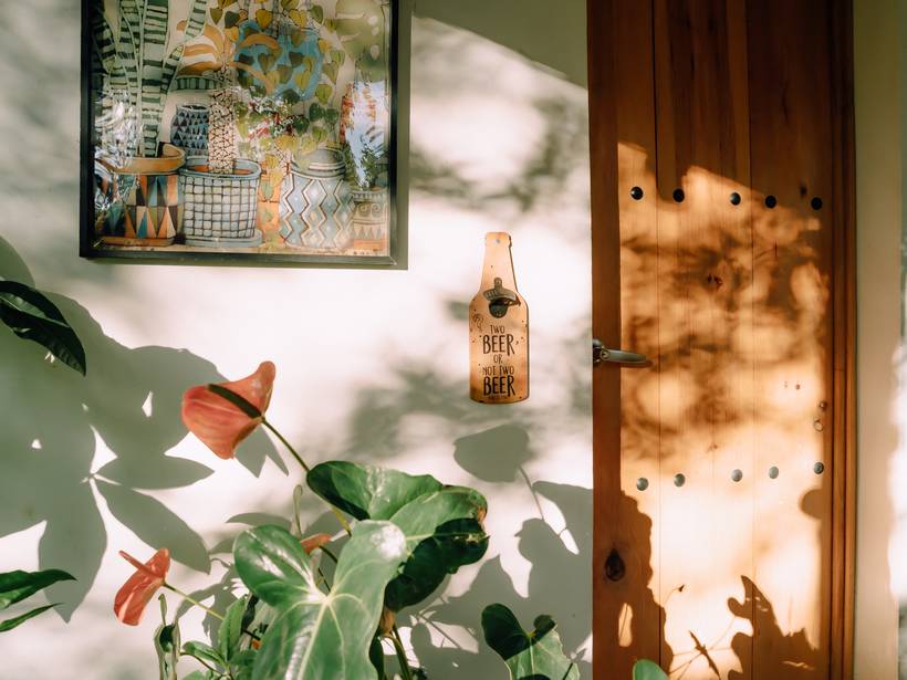 Luz de la mañana entre plantas